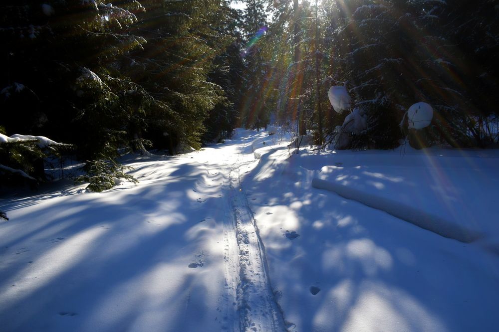 Photograph by Танзиля Завьялова