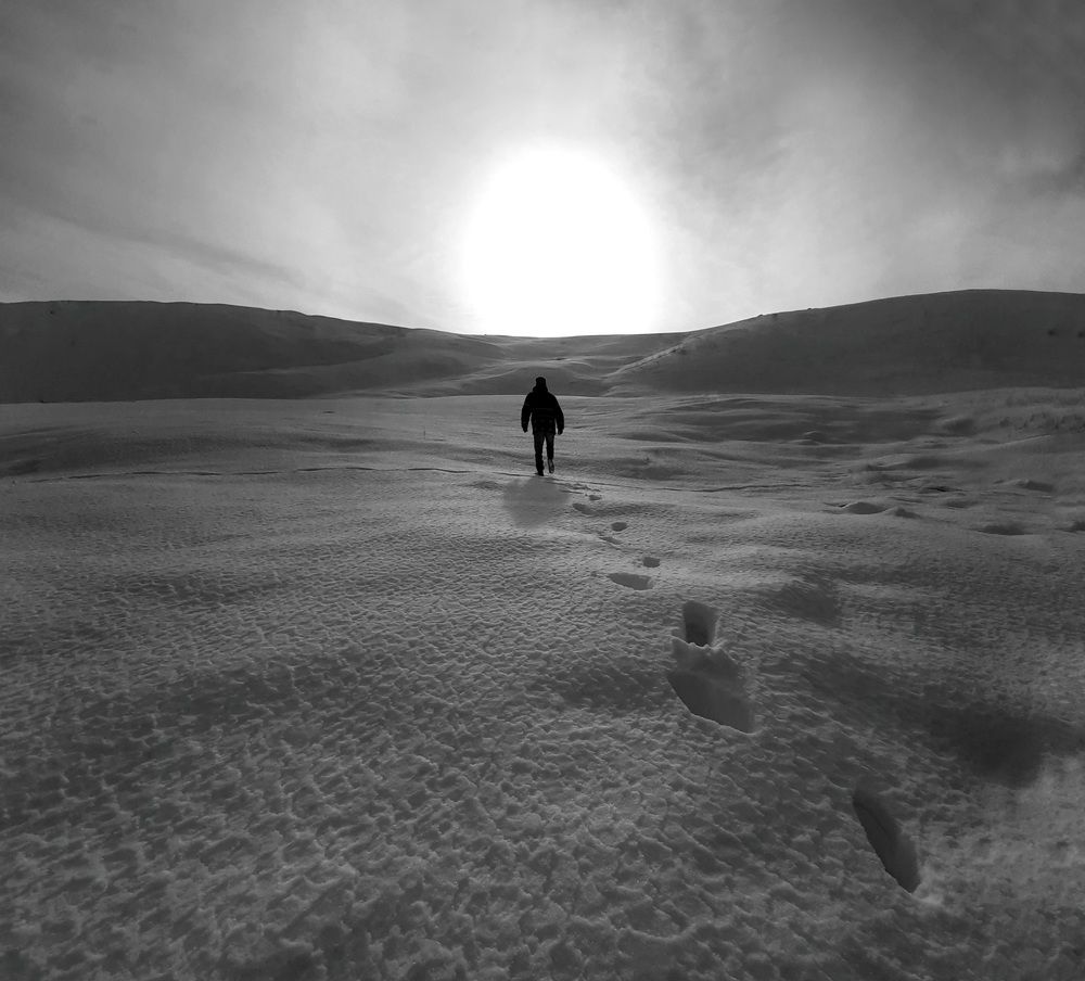 Photograph by AmirReza