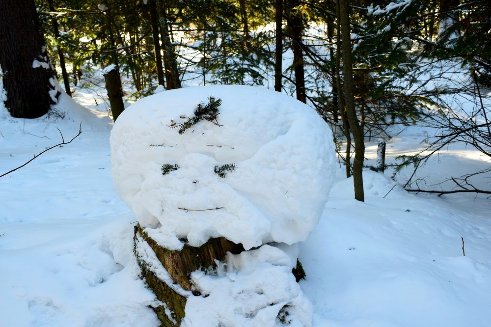 Снежная баба.
