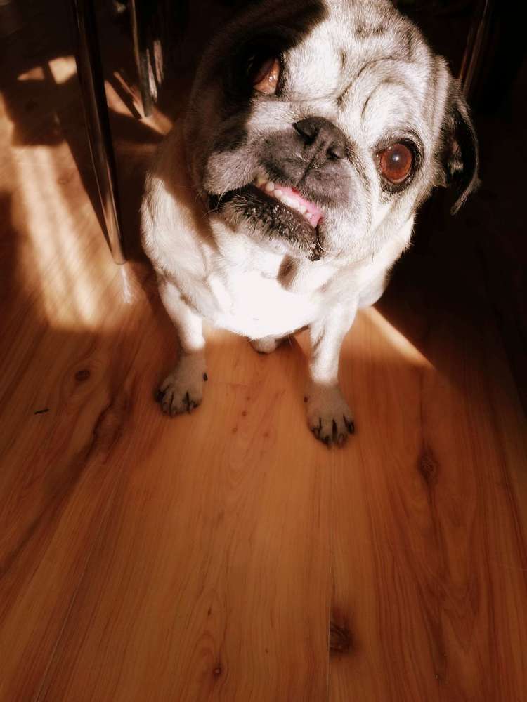 Photograph by Anna Gancheva