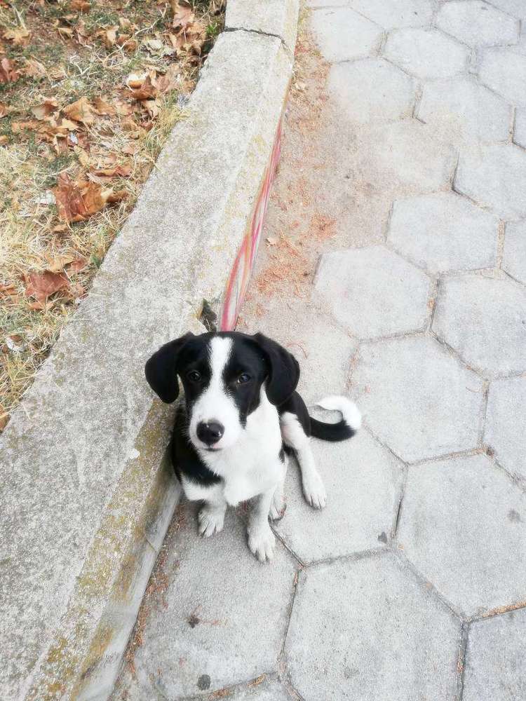 Photograph by Anna Gancheva