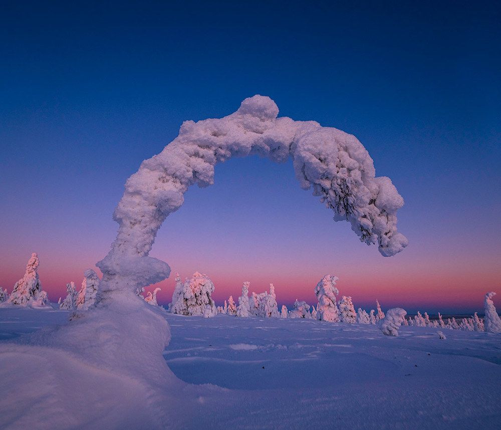 Поклон уходящему дню.