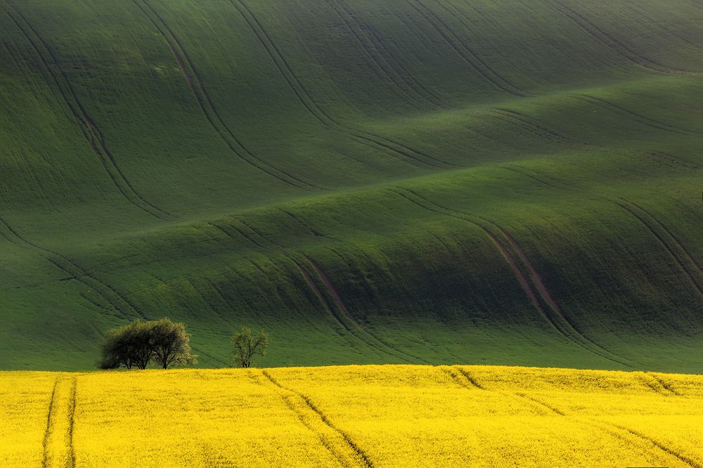 Photograph by Василий Гори