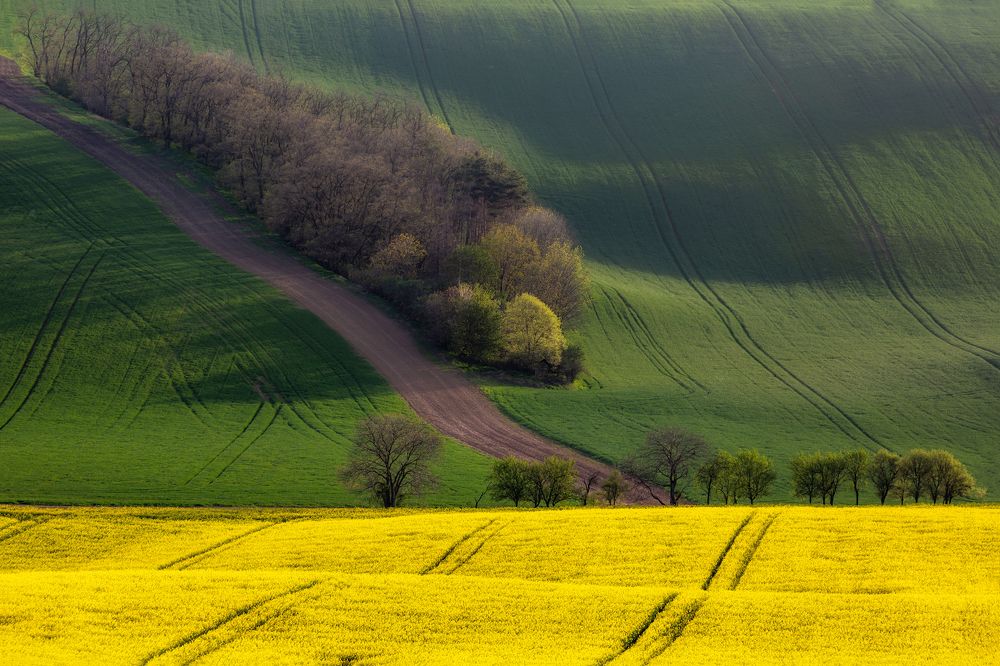 Photograph by Василий Гори