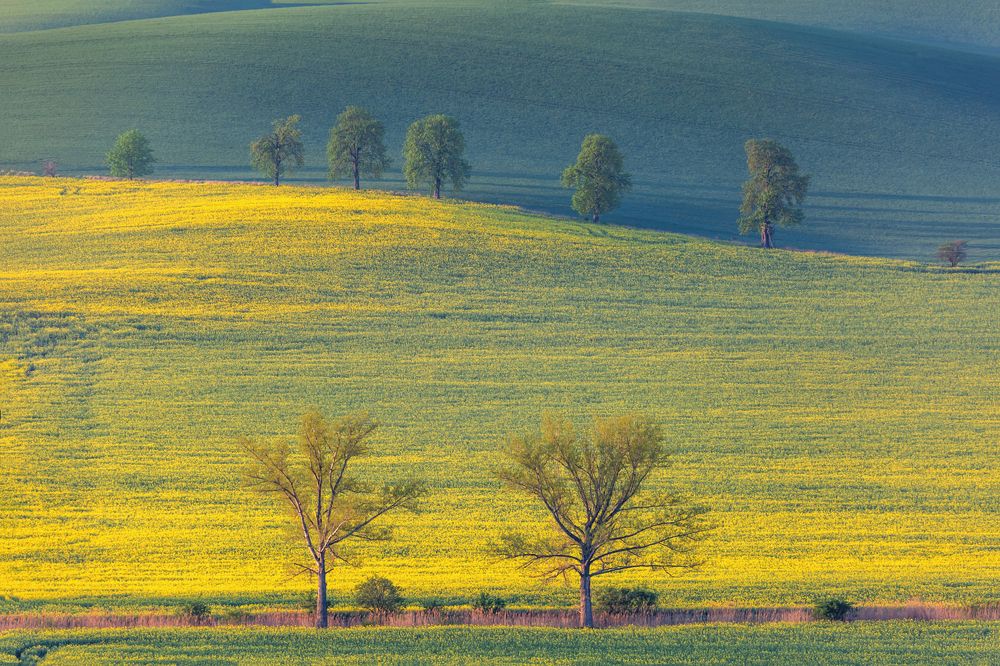 Photograph by Василий Гори