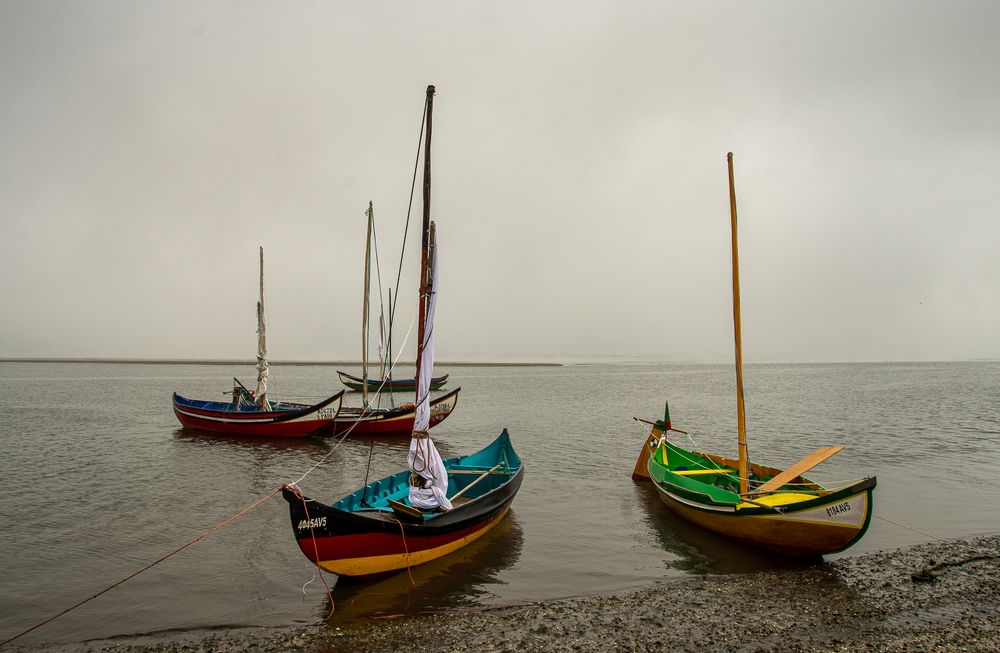 Photograph by Manuel Adriano Teixeira