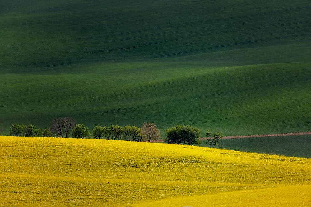 Photograph by Василий Гори