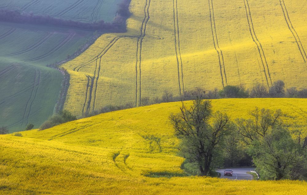 Photograph by Василий Гори