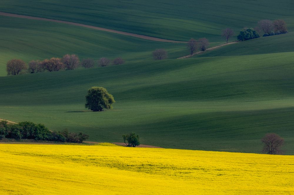 Photograph by Василий Гори