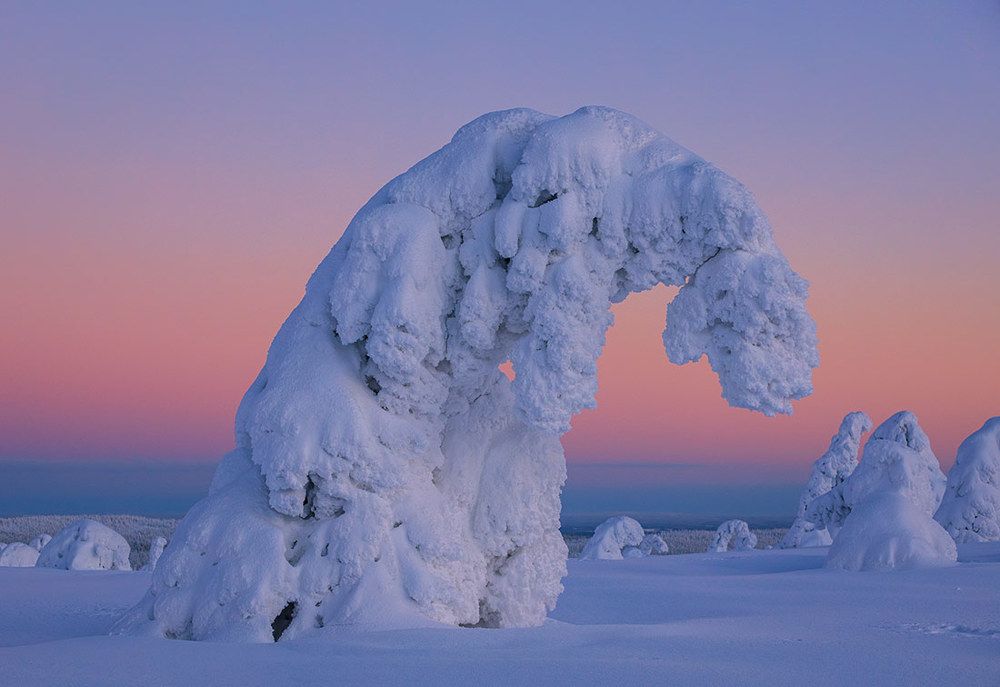 Уставший страж зимы.