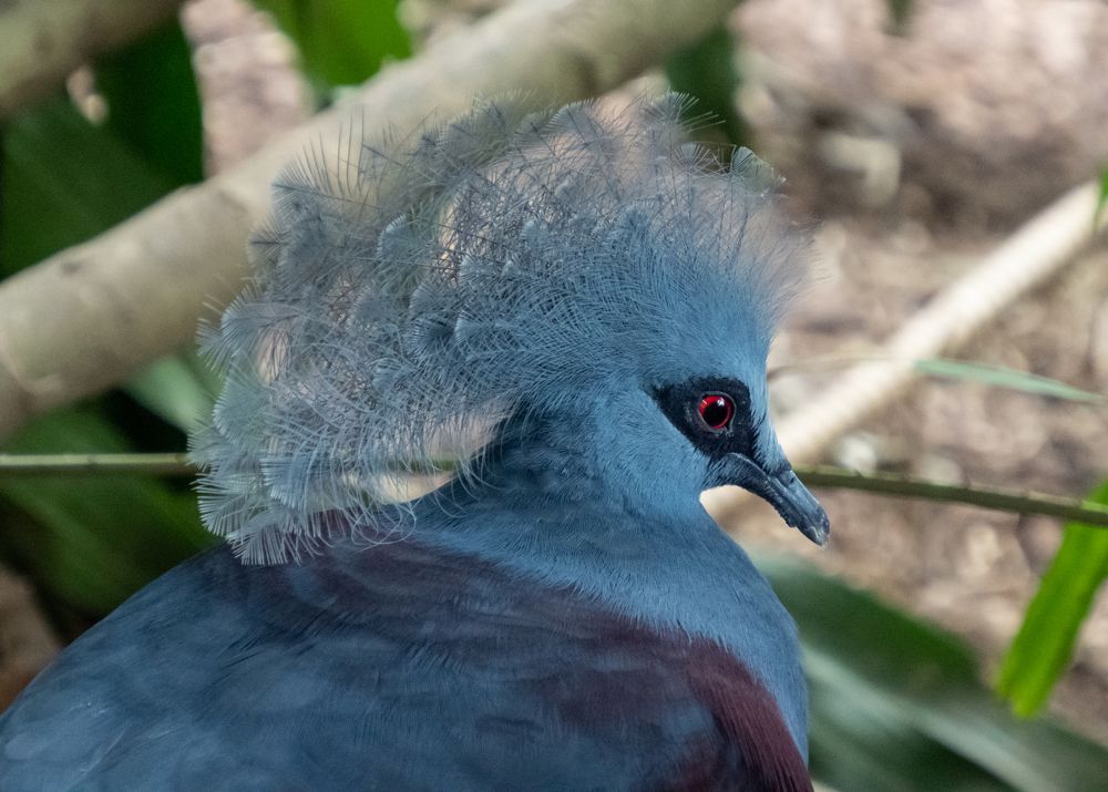 Photograph by Галина Михоношина