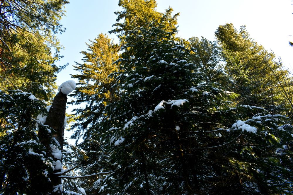 Photograph by Танзиля Завьялова