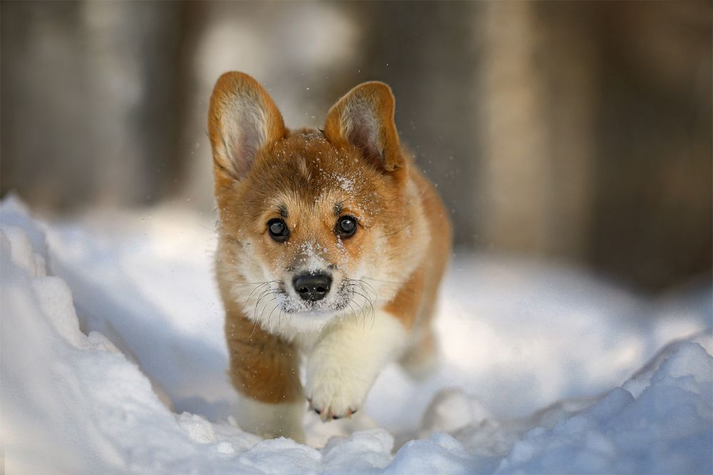 Photograph by Андрей Ершов