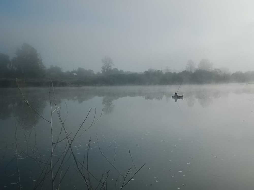 Туман на Гамаюнщине