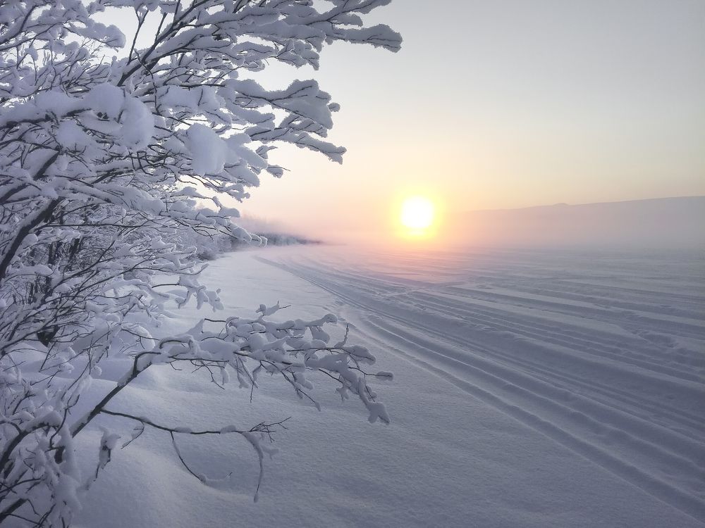 Photo #5811263