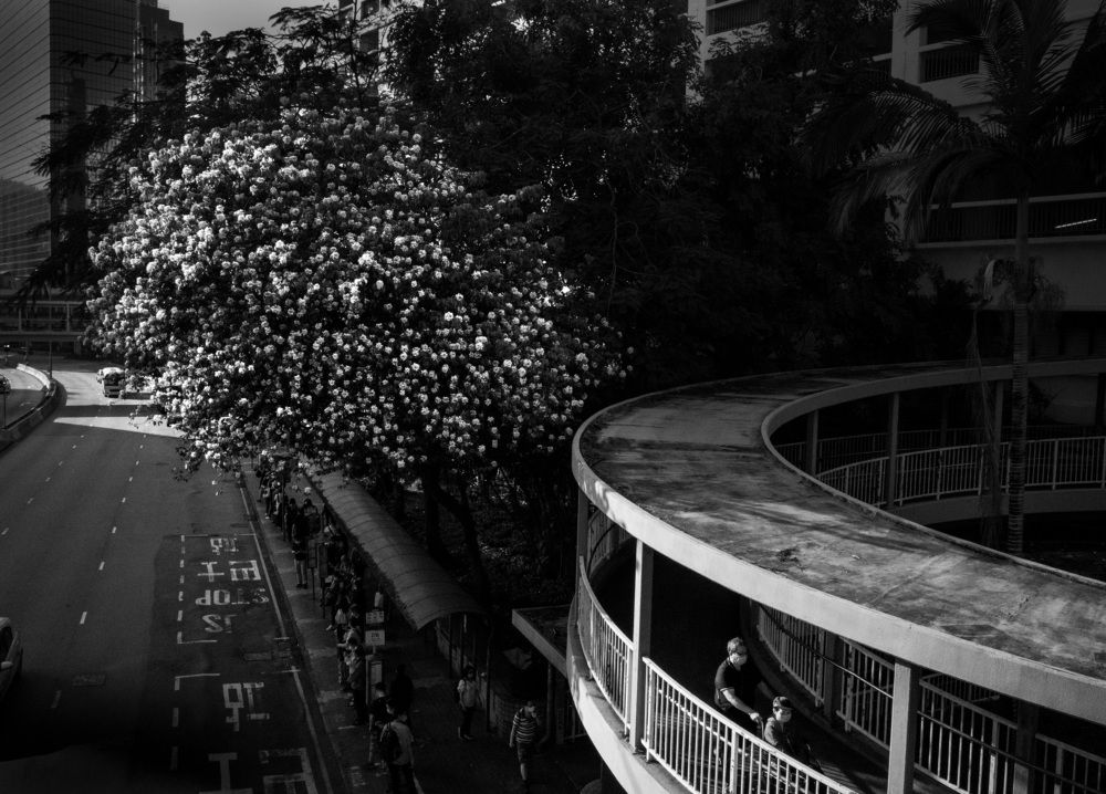 Photograph by Che Chun Hei