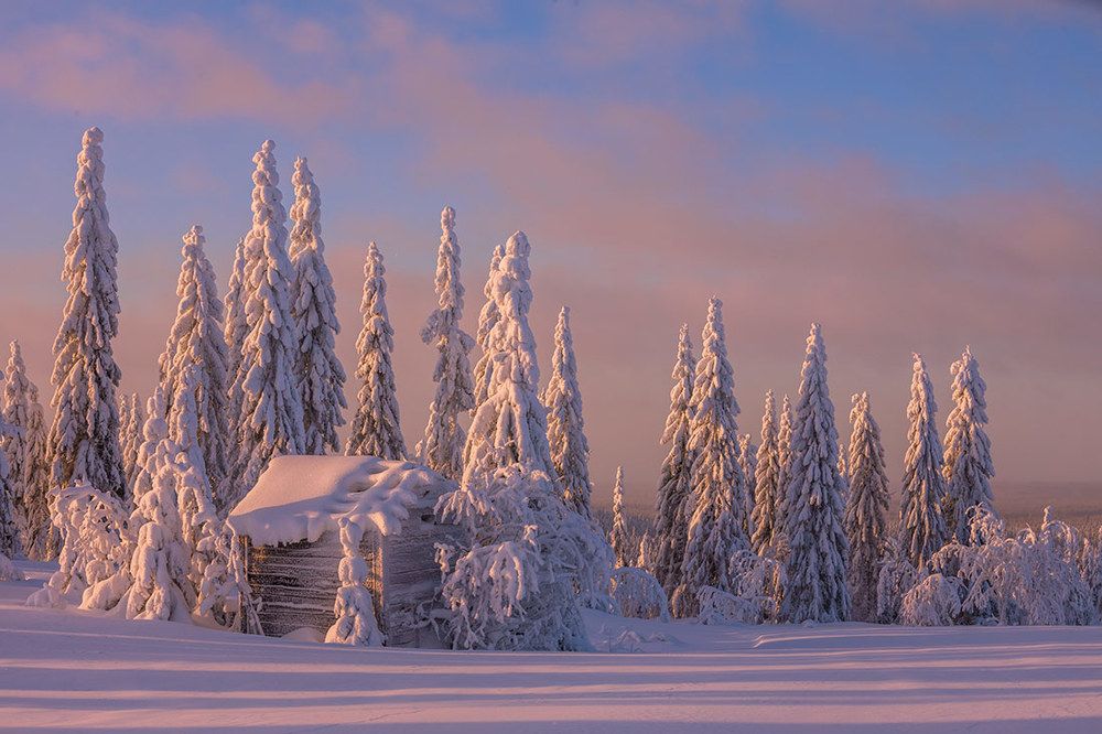 Photograph by Valtteri Mulkahainen