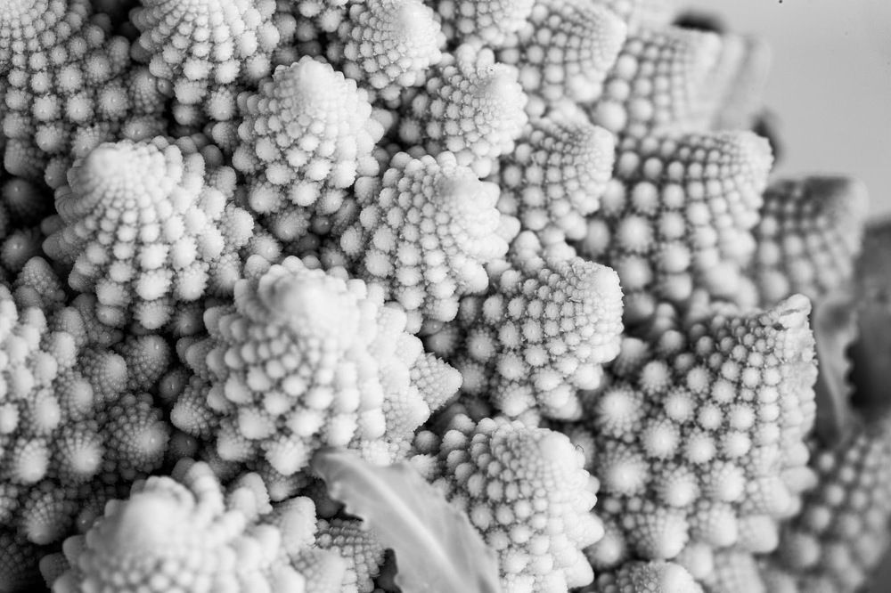 Photograph by stephanie taylor