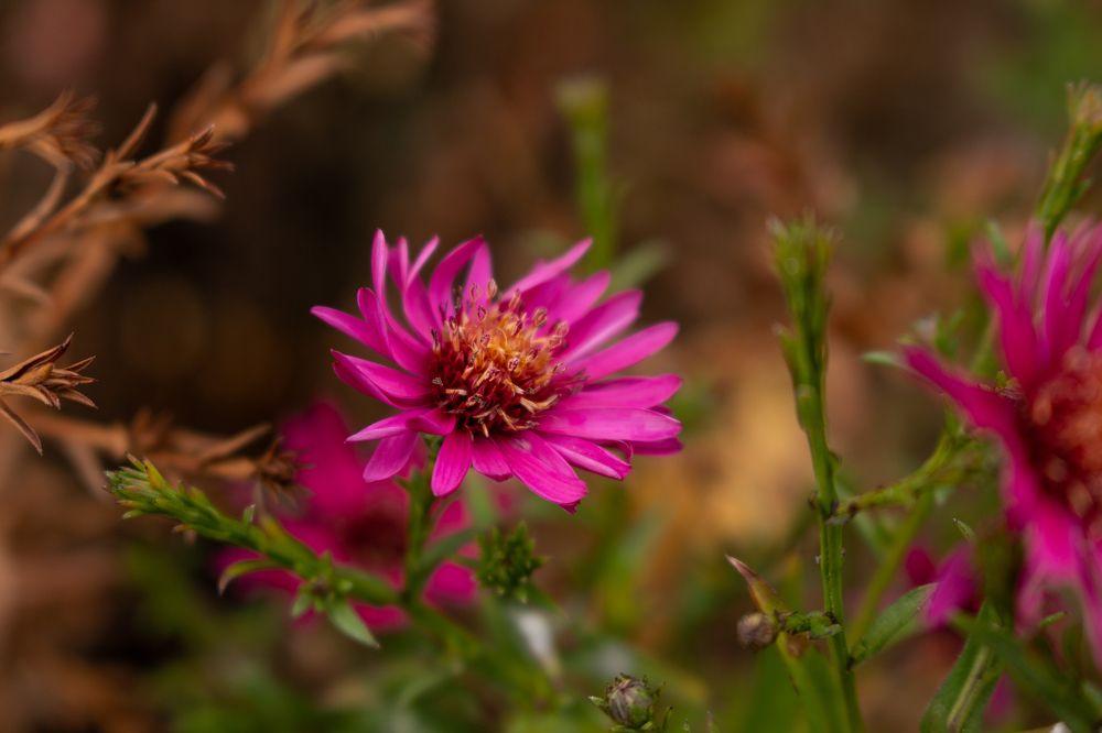 Photograph by Александр Мещеряков