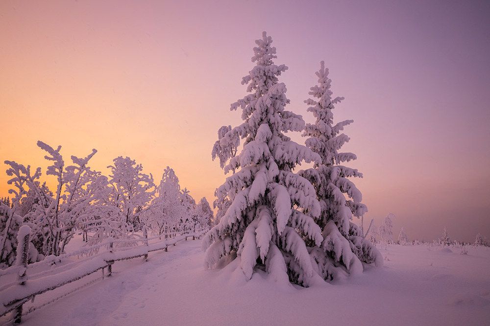 Предрасветная мгла.