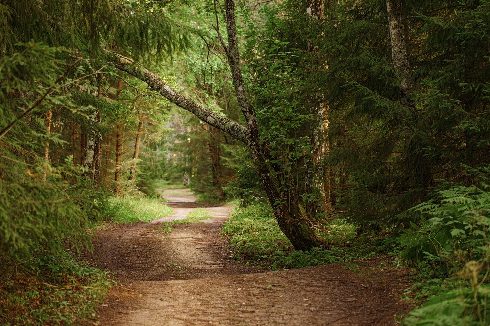 Photograph by Юрий Смелов