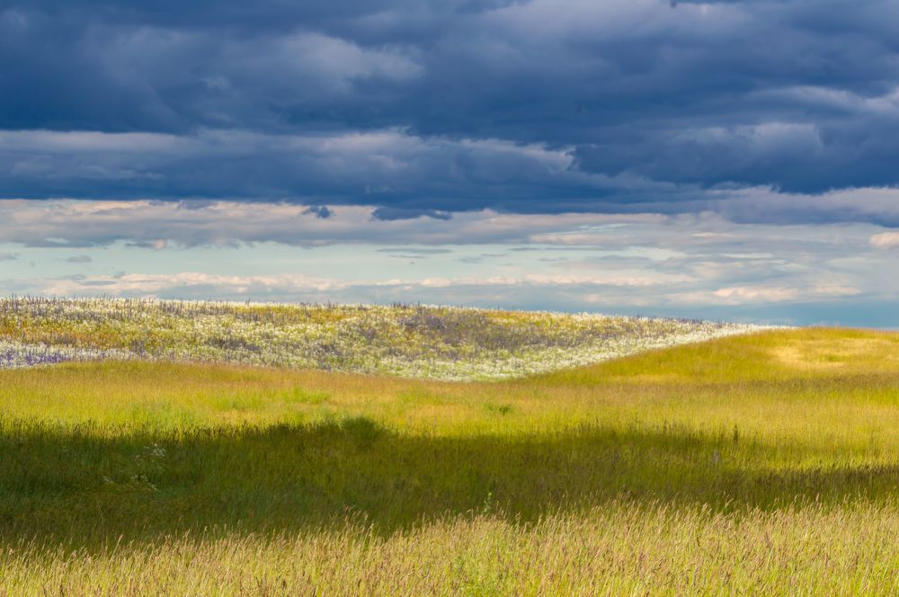 Picturesque landscape