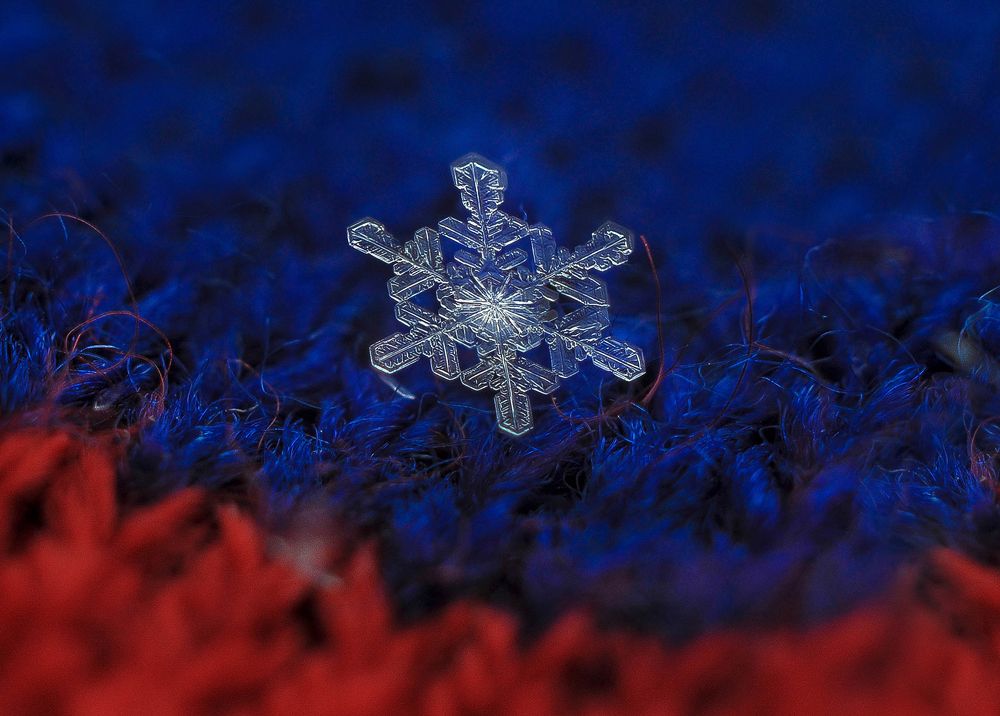 Photograph by Олеся zme