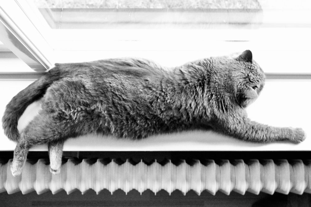 Photograph by Valentina Jegorova