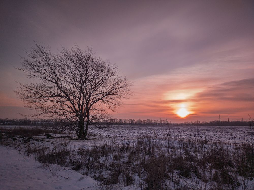 Photograph by Сергей Зуденко