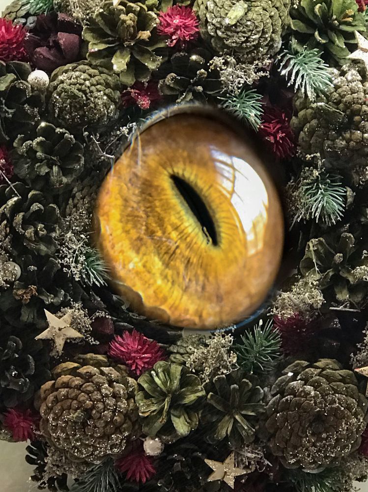 Глаз Гринча, который украл Рождество.