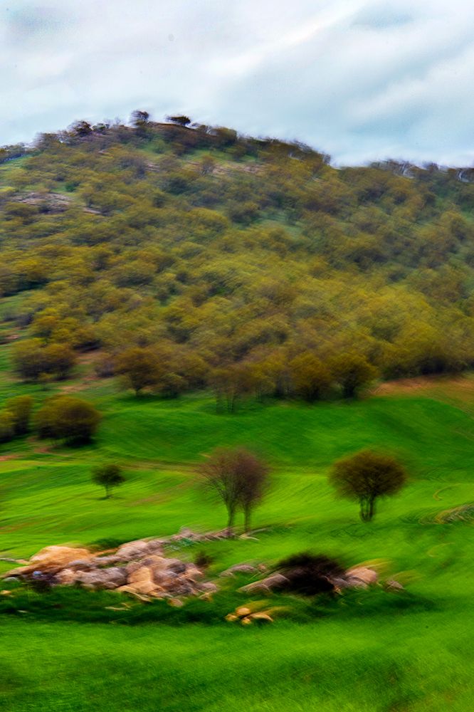 Photograph by Mahmoud Darank