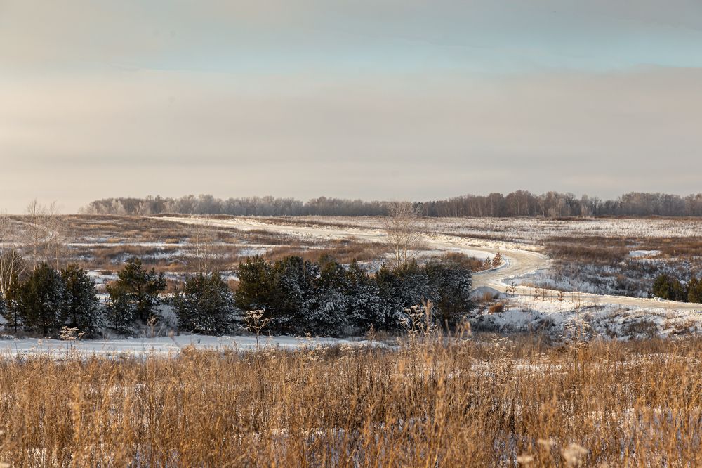 Photograph by Виктор Артёмов
