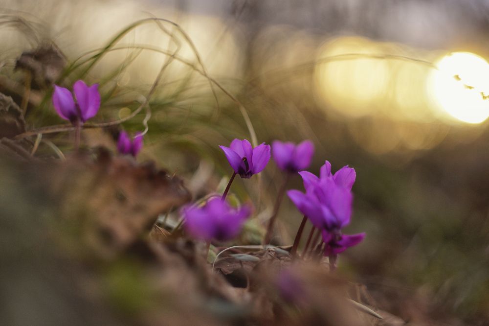 Photograph by Марина Гнедаш