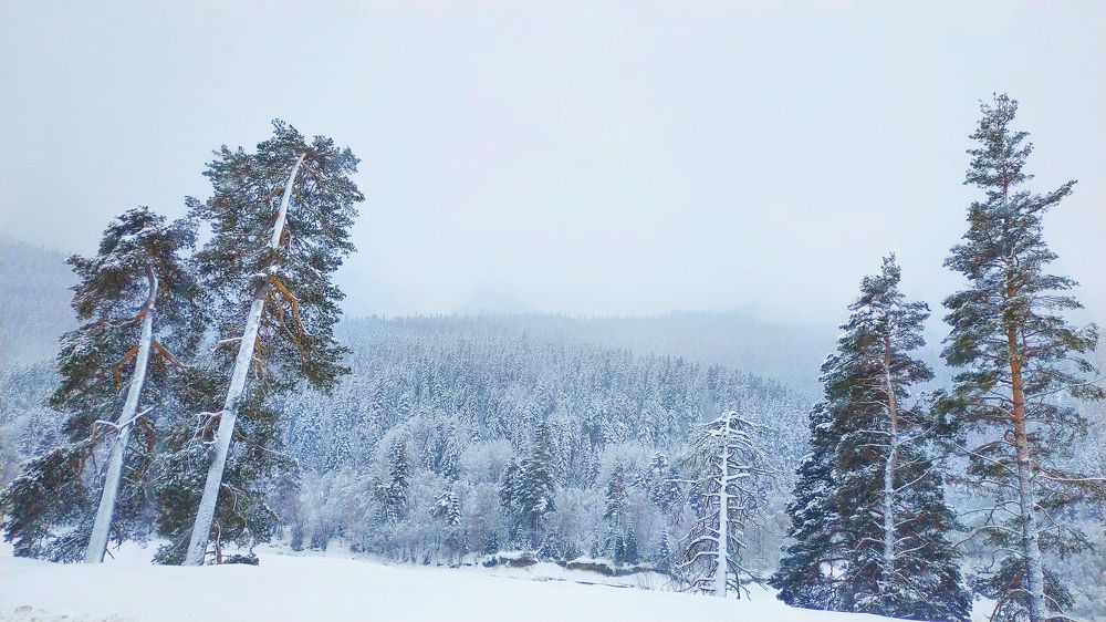 Photograph by Светлана Чужданова