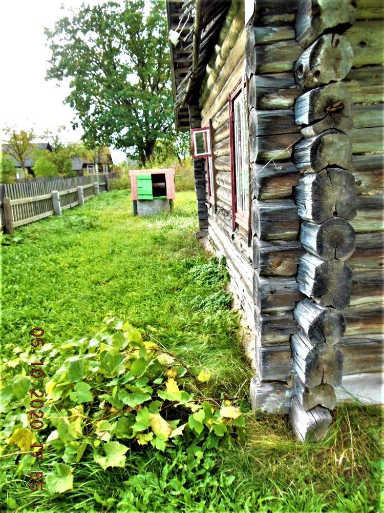 Photograph by TERESA Yurkevich