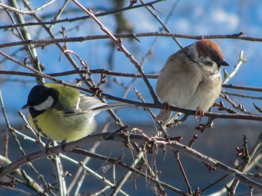 Photograph by Андрей