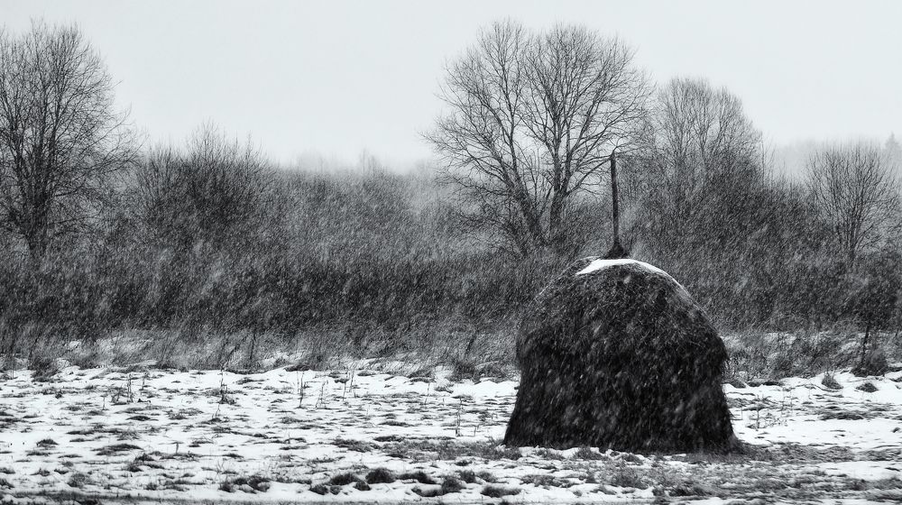 Photograph by Андрей Куликов