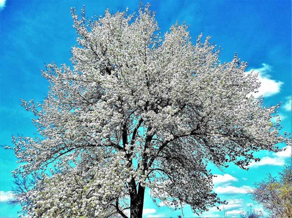 Photograph by TERESA Yurkevich