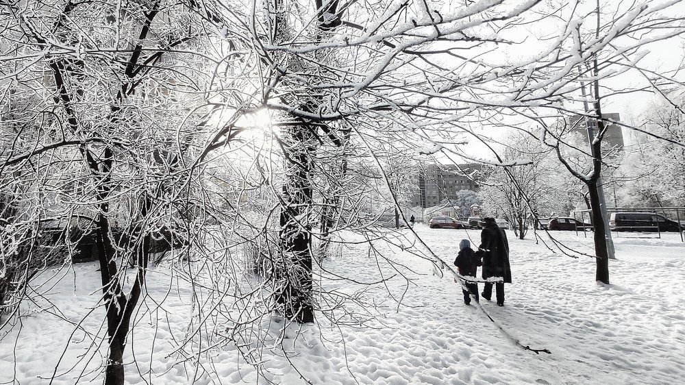Photograph by Дмитрий Александров