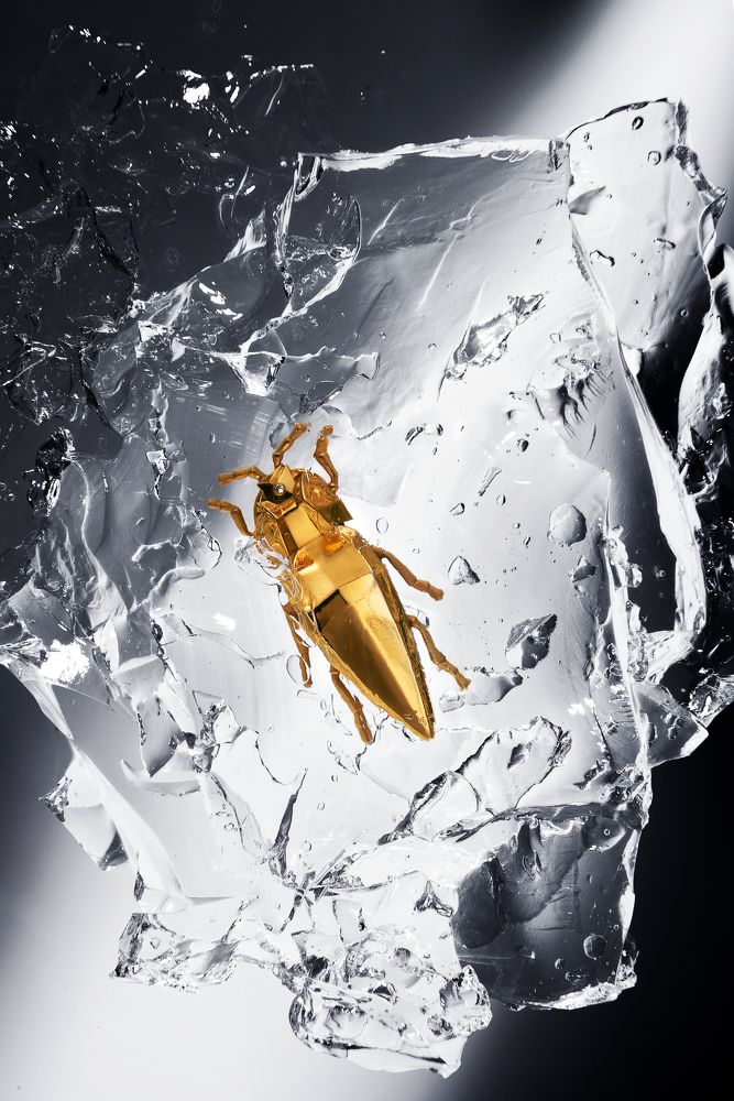 Photograph by Павел Парамонов