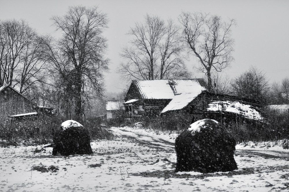 Photograph by Андрей Куликов