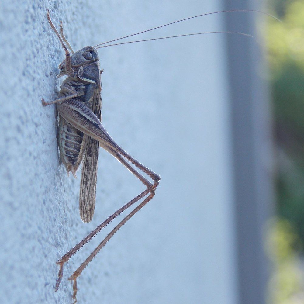 Photograph by Анастасия Бовкунова