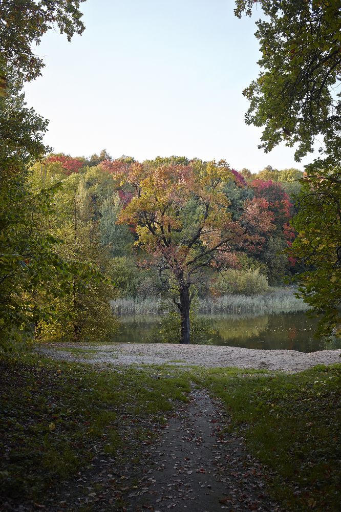 Photograph by Дмитрий Касаткин