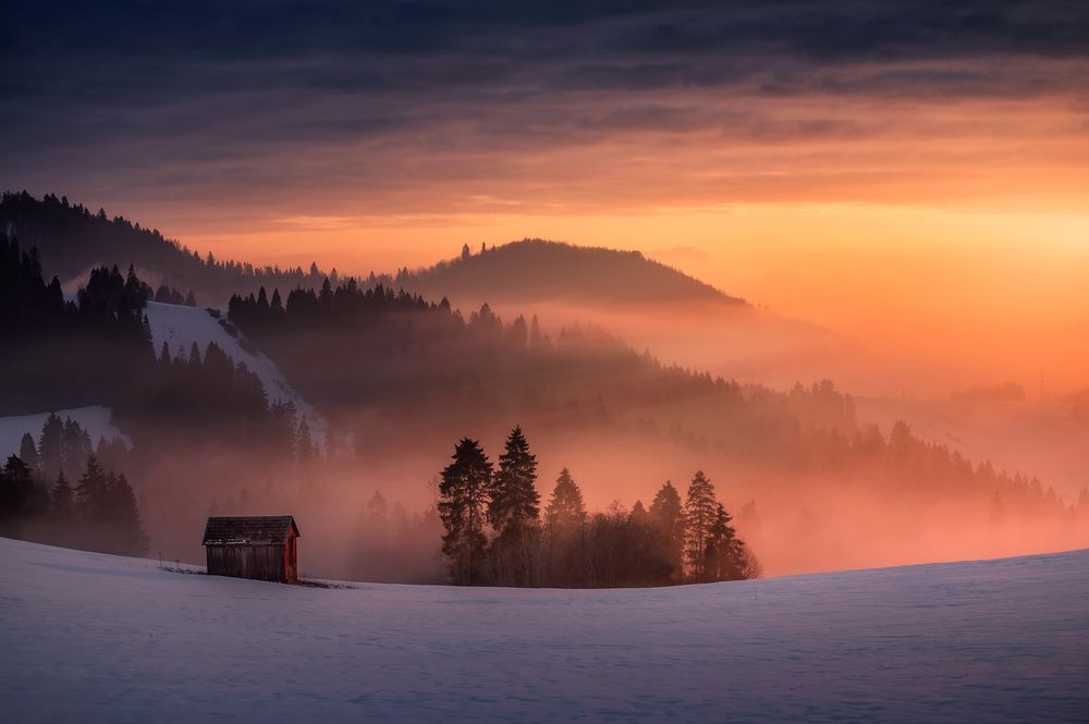 Photograph by Jakub Perlikowski