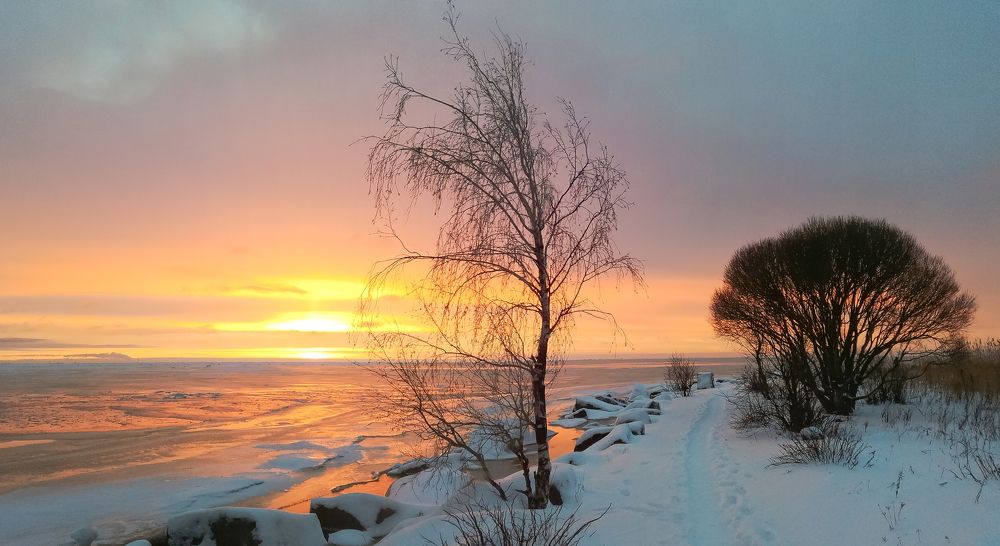 Photo #5812064