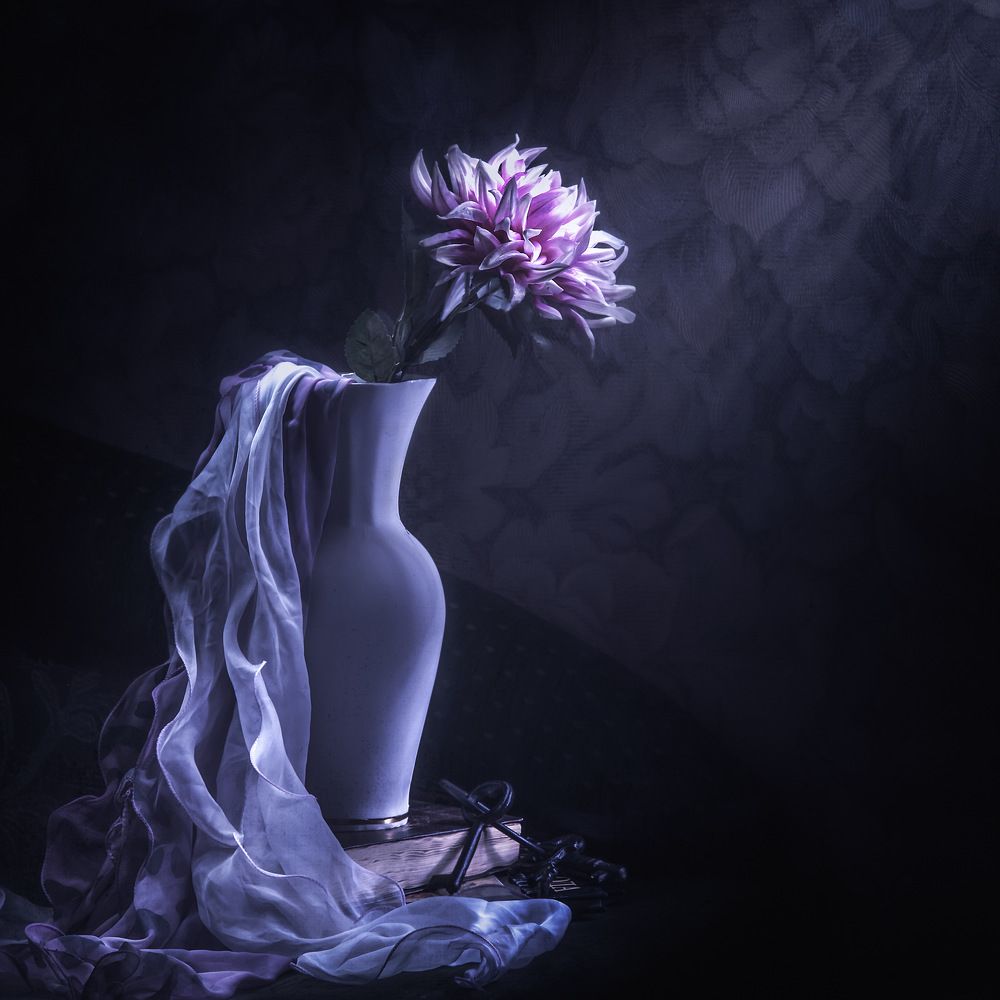 Фотография автора Виктория Шаманова