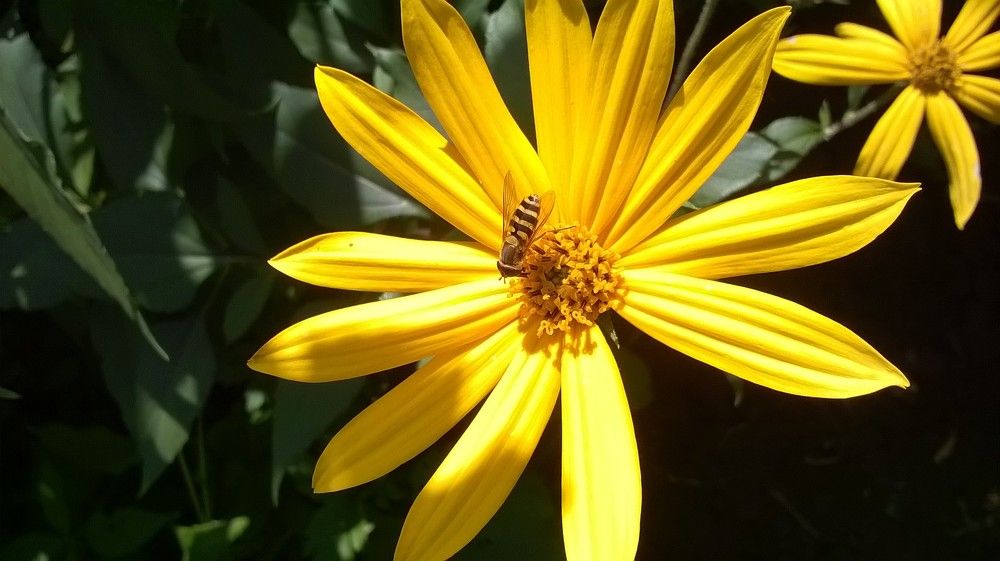 Photograph by Наталья