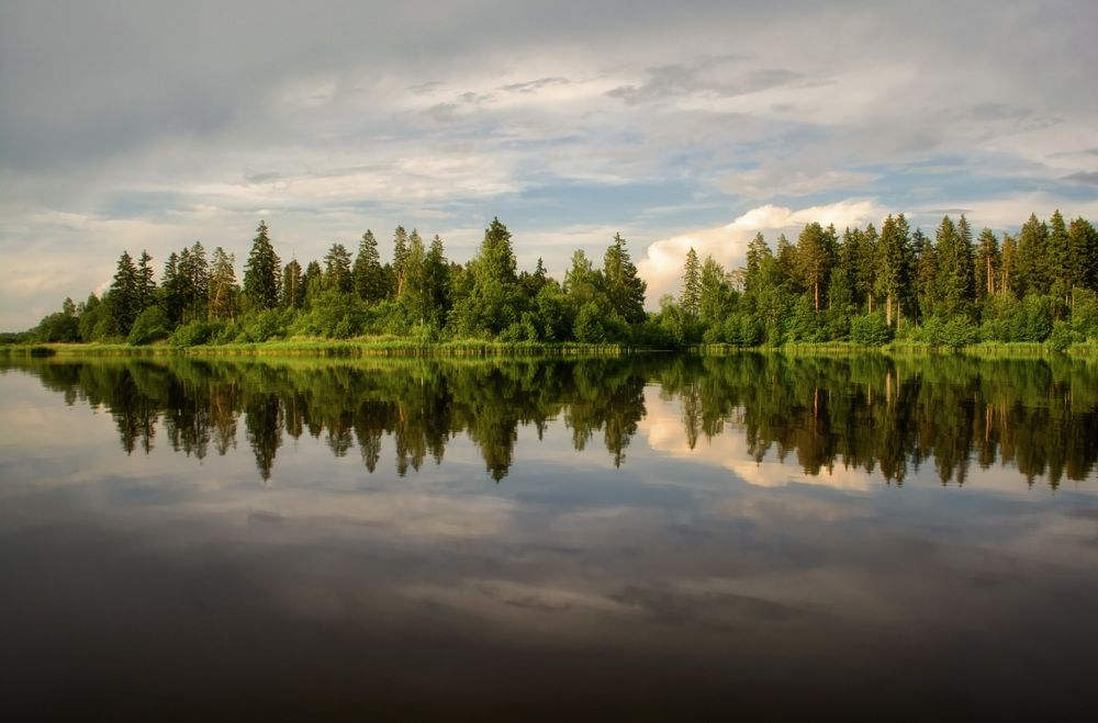 Тишь после грозы.