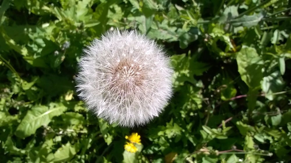 Photograph by Наталья