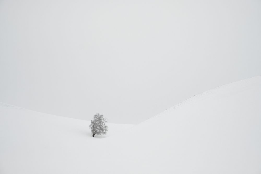 Фотография автора Кочергин Дмитрий